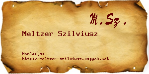 Meltzer Szilviusz névjegykártya